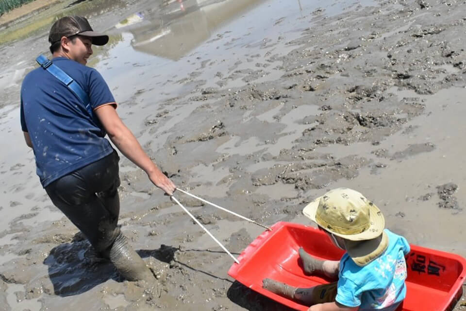 どろんこ体験で、大人が引く赤いソリに乗って田んぼの中を進むお子様の様子