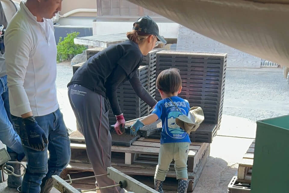 育苗箱の運搬作業を、大人の真似をして一生懸命に手伝う小さなお子様の姿。